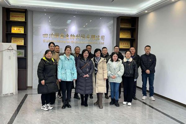 龍馳集團(tuán)黨支部同公司黨支部聯(lián)歡活動